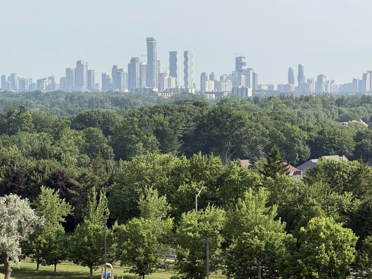 Mississauga skyline above the trees